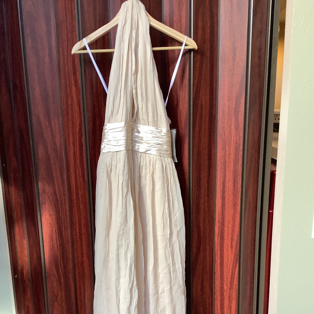 Cream/light taupe full-length dress.